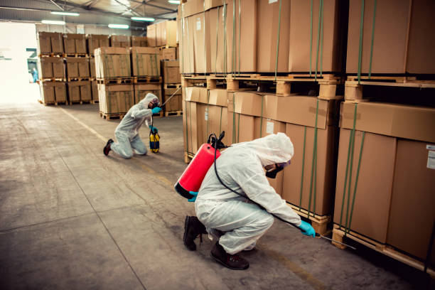 Reliable Pinehurst, NC Pest Control Solutions